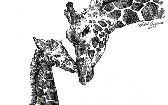 Пошаговка "Жираф" от Агеевой Анастасии