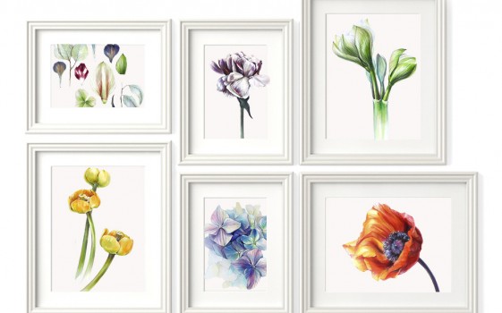 ОНЛАЙН ЭФИР по курсу Ботаническая иллюстрация маркерами. Базовый курс