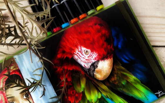 Нужны ли маркерам карандаши?