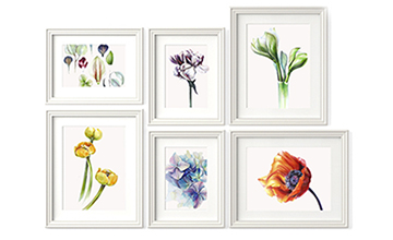 БОТАНИЧЕСКАЯ ИЛЛЮСТРАЦИЯ МАРКЕРАМИ