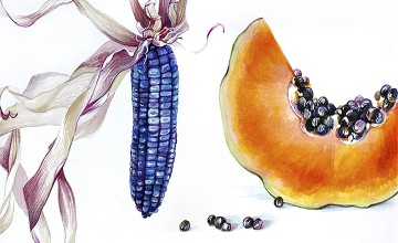 ВКУСНАЯ БОТАНИКА