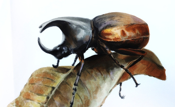 Макро-иллюстрация. Невидимая красота