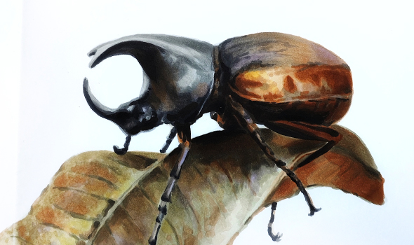 Макро-иллюстрация. Невидимая красота