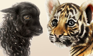 PRO-курс анималистики