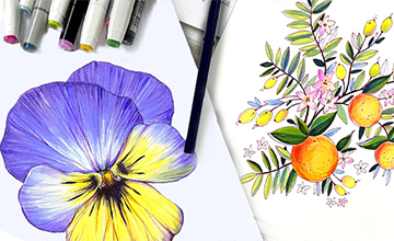 Базовый курс Ботанической иллюстрации для начинающих