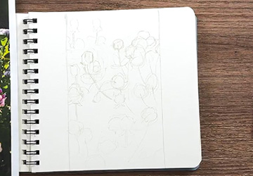 Клевер. Построение