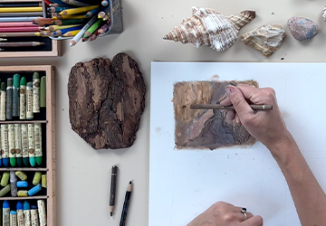 Фактурные объекты: кора