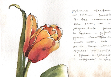 Цветочная лавка разворот. Тюльпан.