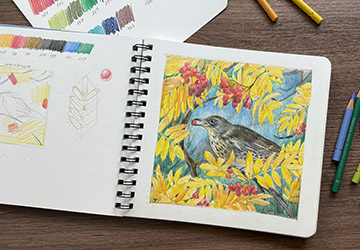 Рисуем птицу