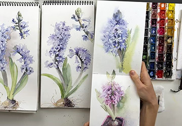 Гиацинты. Финальные штрихи