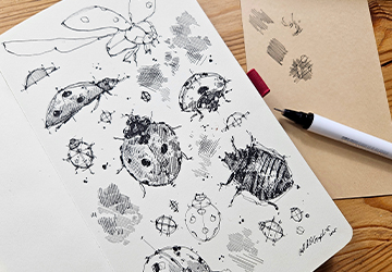 Божья коровка. Штриховка и объём