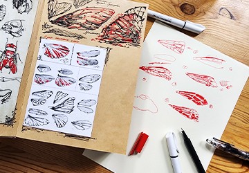 Крылышки: варианты штриха и фактуры