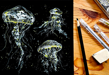 Медуза на чёрной бумаге. Акценты и фон