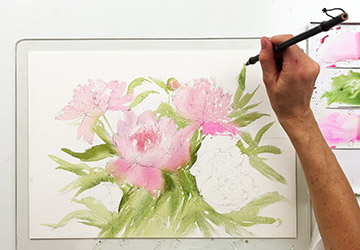 Пионы. Подложка