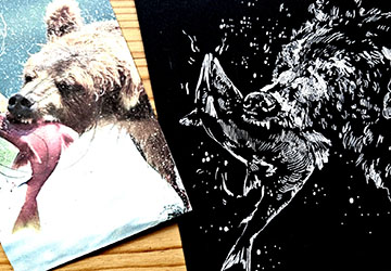 Медведь: белое на чёрном. Детализация и контраст