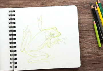 Динамика. Лягушка. Анализ референса и построение