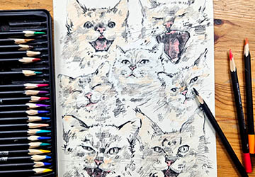 Кошки и котята. Цветовые пятна и подложка