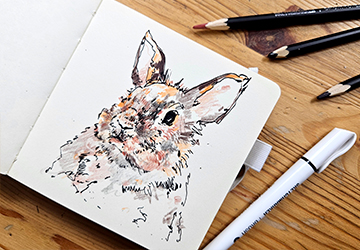 Декоративный кролик цветными карандашами