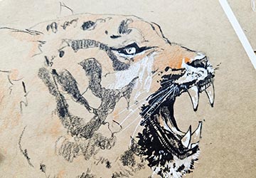 Тигр. Цветовые пятна и тональная база