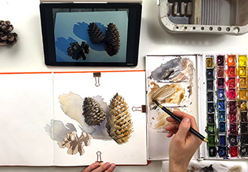 Шишки. Вторая шишка