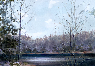 Пасмурное лесное озеро. Карандашные текстуры и детали