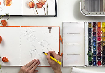 Физалис. Карандашный рисунок