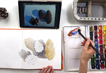 Шишки. Подложка