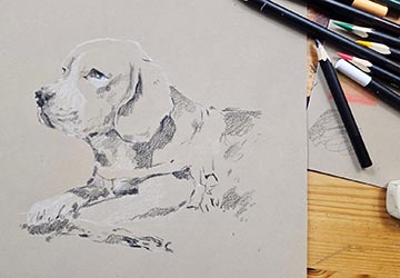 Щенок на тонированной бумаге. Цвет и объём