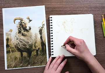 Умышленная незаконченность. Баран. Построение