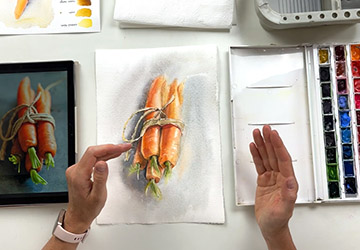 Морковь. Знакомство с референсом