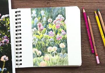 Клевер. Средний план