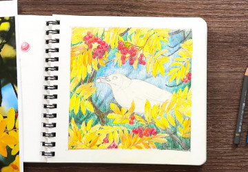 Рябина и фон