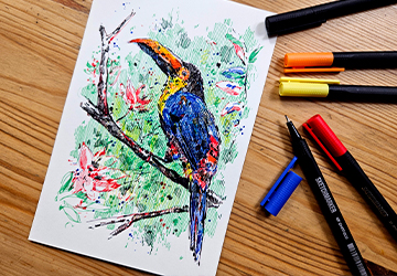 Тукан. Штриховка, объём и стилизация