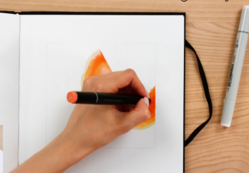 ПАПАЙЯ. Цвет. Яркая мякоть