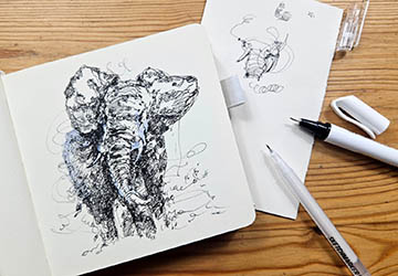 Слон в движении. Техника неотрывной линии
