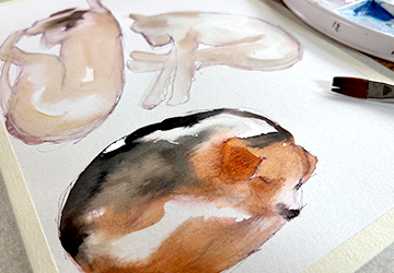 Сюжет на ковре. Часть 1