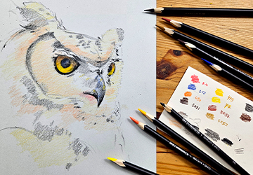 Филин. Цветовые пятна и подложка