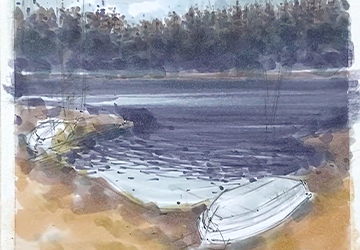 Пасмурное лесное озеро. Ближний берег и вода