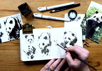 Панда. Построение через пятно