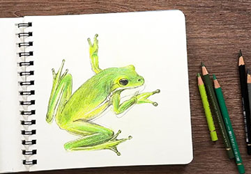 Лягушка. Основной тон