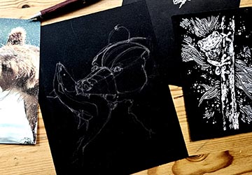 Медведь: белое на чёрном. Построение