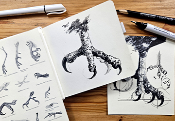 Птичья лапка. Строение и характер