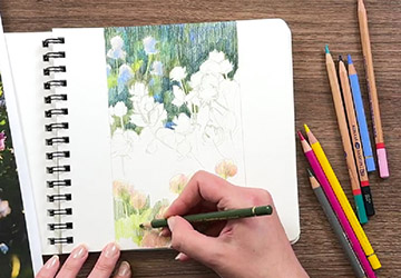 Клевер. Передний и дальний план