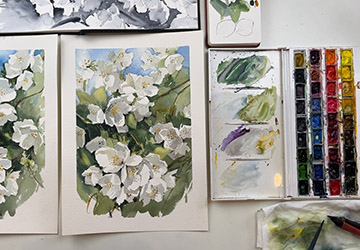 Куст жасмина. Финальные штрихи