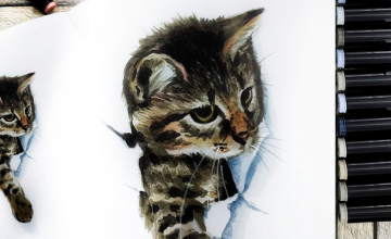 Озорной котенок