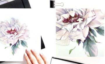 Белый шиповник