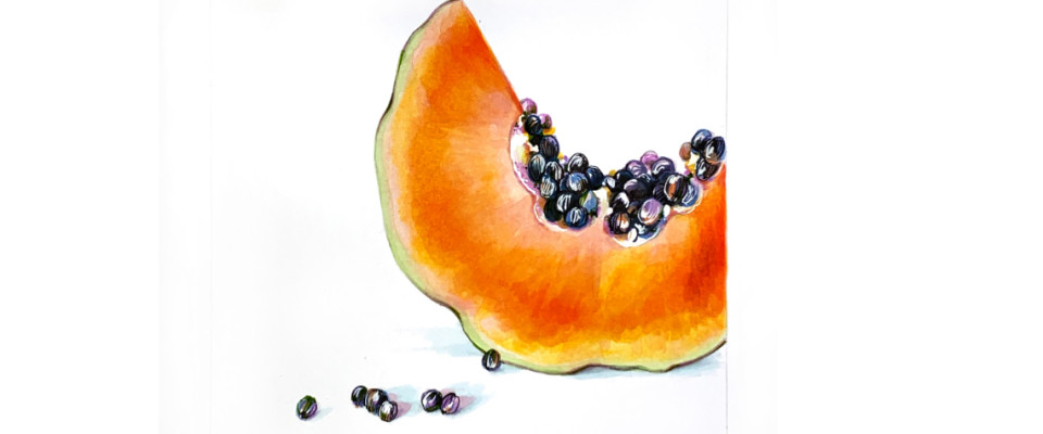 ВКУСНАЯ ПАПАЙЯ маркерами