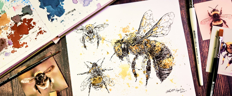 ПЧЕЛЫ (графика)