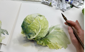 КАПУСТА