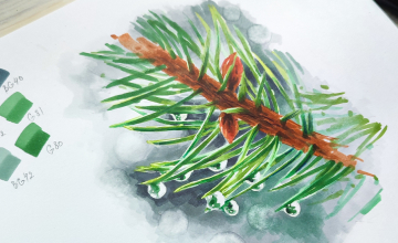 ВЕТОЧКА СОСНЫ С КАПЛЯМИ